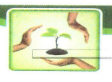 Arunjyoti Bio Ventures  Rights Issue Detail