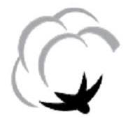 Ashnoor Textile Mills Rights Issue 2024 Logo