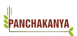 Baba Food Processing IPO Logo