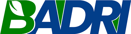 Badri Cotsyn IPO Logo