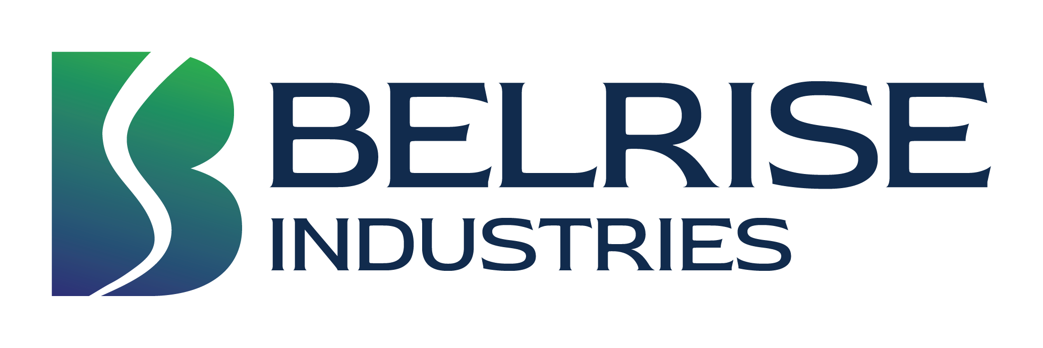 Belrise Industries Limited IPO logo