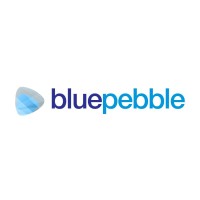 Blue Pebble IPO Logo