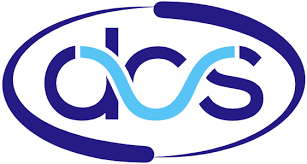 Datasoft Computer IPO Logo
