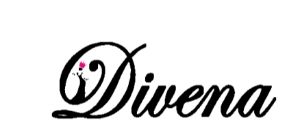 Dudani Retail IPO Logo