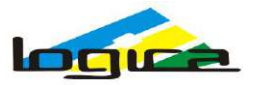 Eastern Logica Infoway IPO Logo