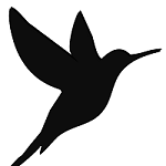Dilip Davda, a freelance journalist