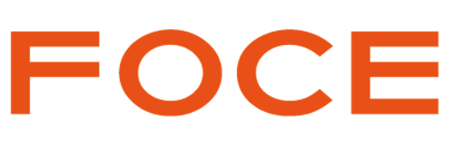 Foce India IPO Logo