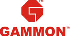 Gammon Infrastructure IPO Logo