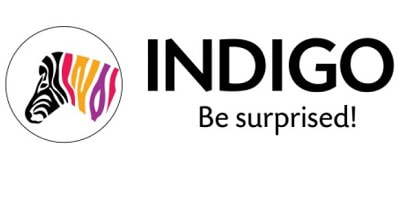 Indigo Paints IPO Logo