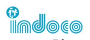 Indoco Remedies IPO Logo