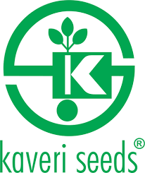 Kaveri Seed Buyback Logo