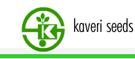 Kaveri Seed IPO Logo