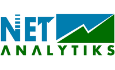 Netanalytiks Technologies IPO Logo