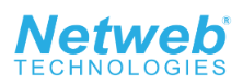 Netweb Technologies IPO Logo