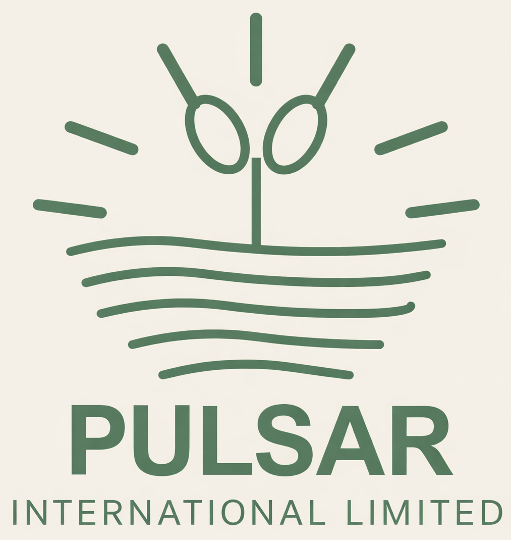Pulsar International Rights Issue Dec 2025 Logo