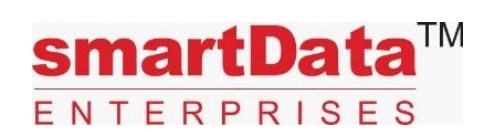 Smartdata Enterprises (India) IPO Logo