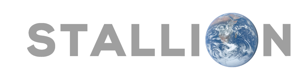 Stallion India Rights Issue Feb 2026 Logo