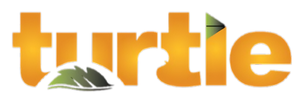 Turtle Infratrade IPO Logo