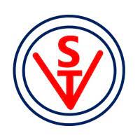 Vibhor Steel Tubes IPO Logo