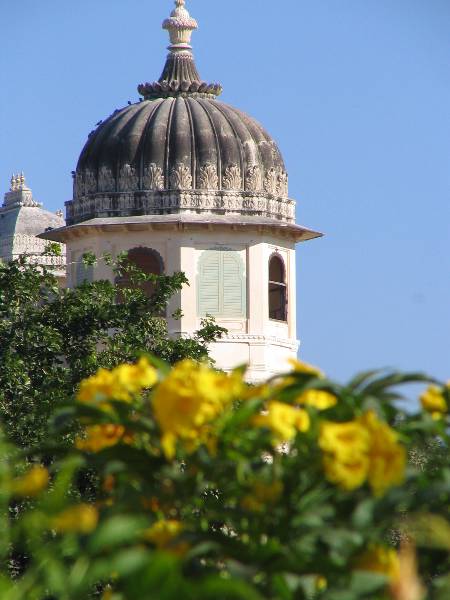 Dome at Fateh Prakash Palace
