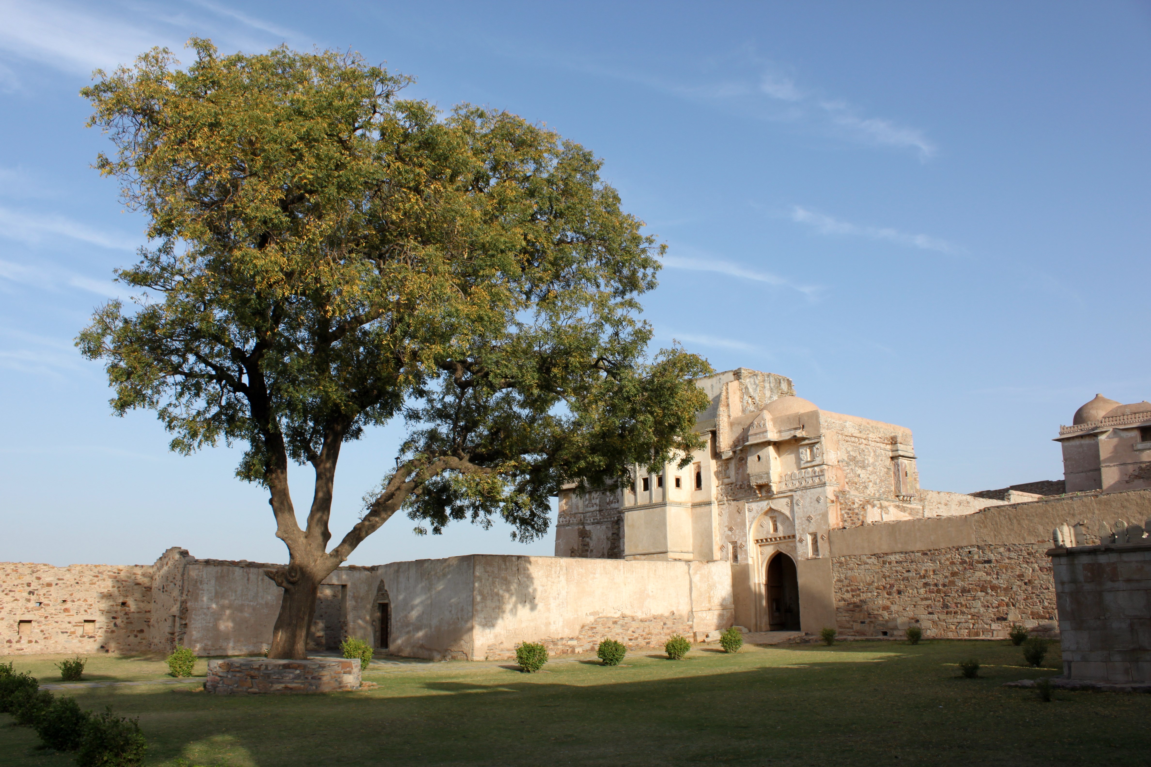 Ratan Singh Palace 5
